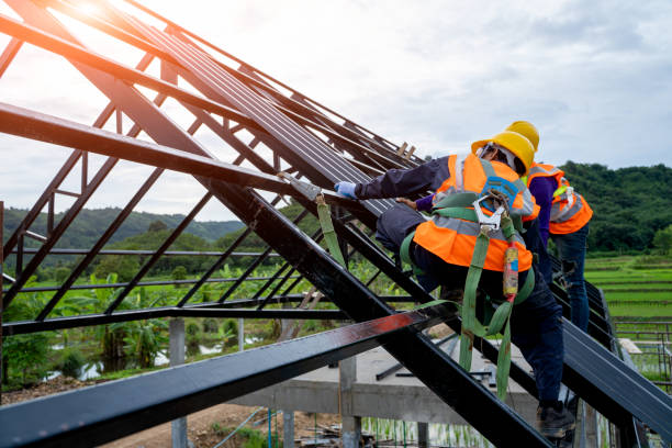 Best Local Roofing Companies  in Montgomery, IL