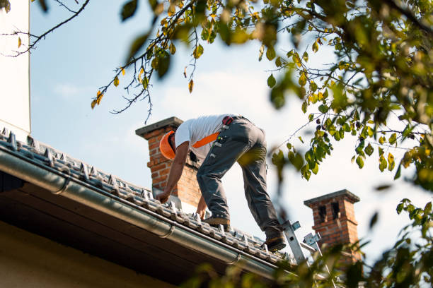 Gutter Installation and Roofing in Montgomery, IL