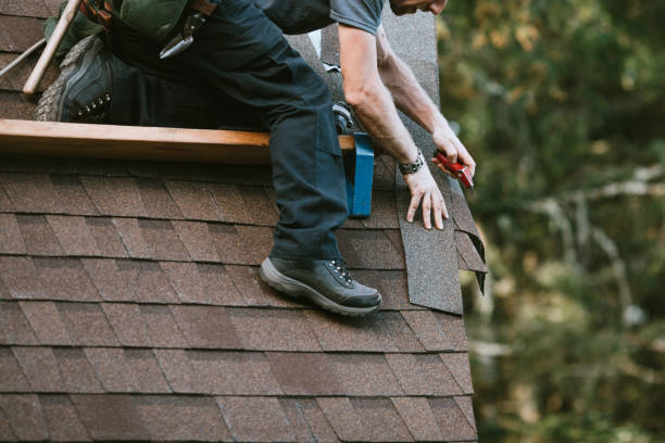 Best Flat Roof Repair Services  in Montgomery, IL