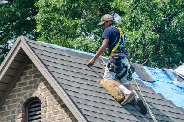 Best Gutter Installation and Roofing  in Montgomery, IL